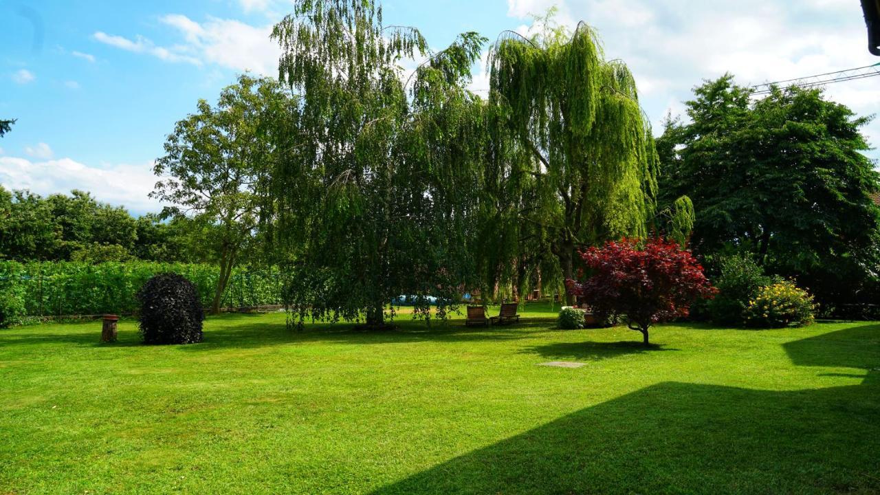Bed & Breakfast Milu Cuneo Buitenkant foto