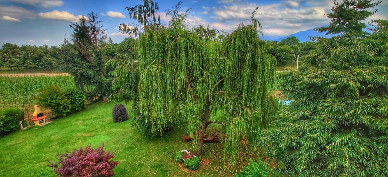 Bed & Breakfast Milu Cuneo Buitenkant foto