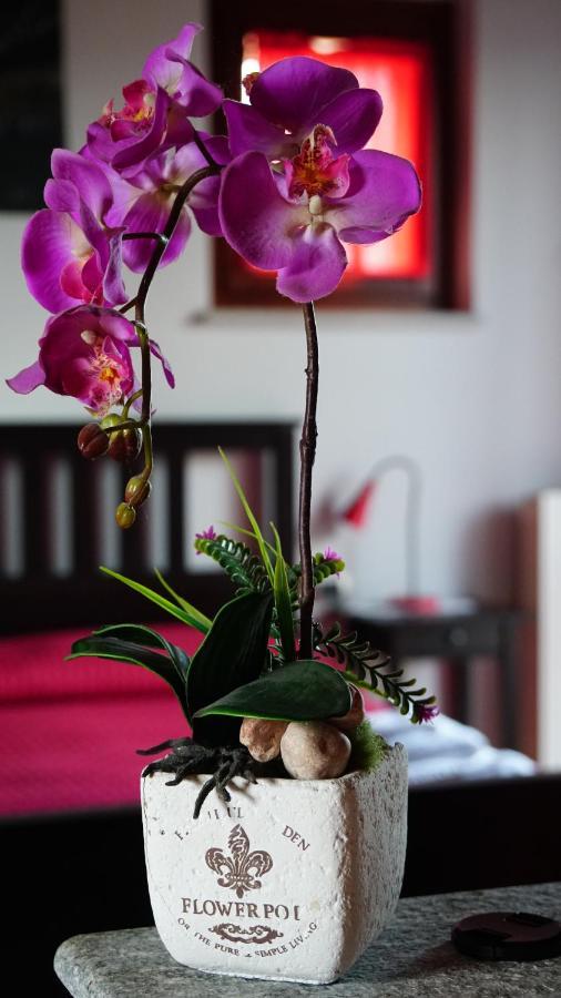 Bed & Breakfast Milu Cuneo Buitenkant foto