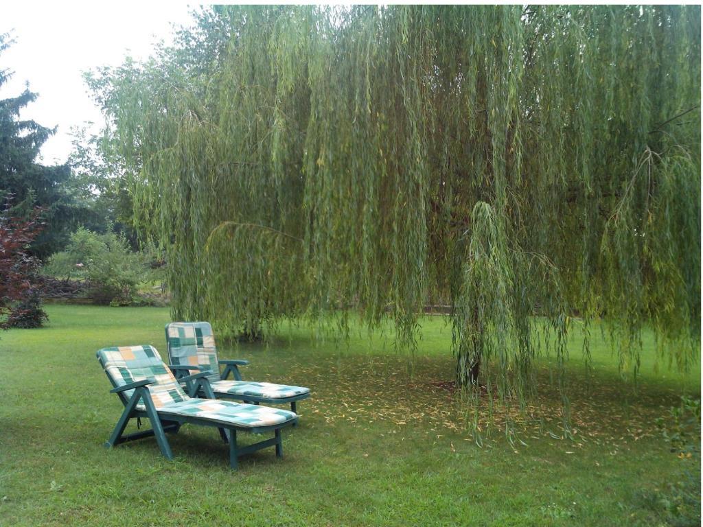 Bed & Breakfast Milu Cuneo Buitenkant foto